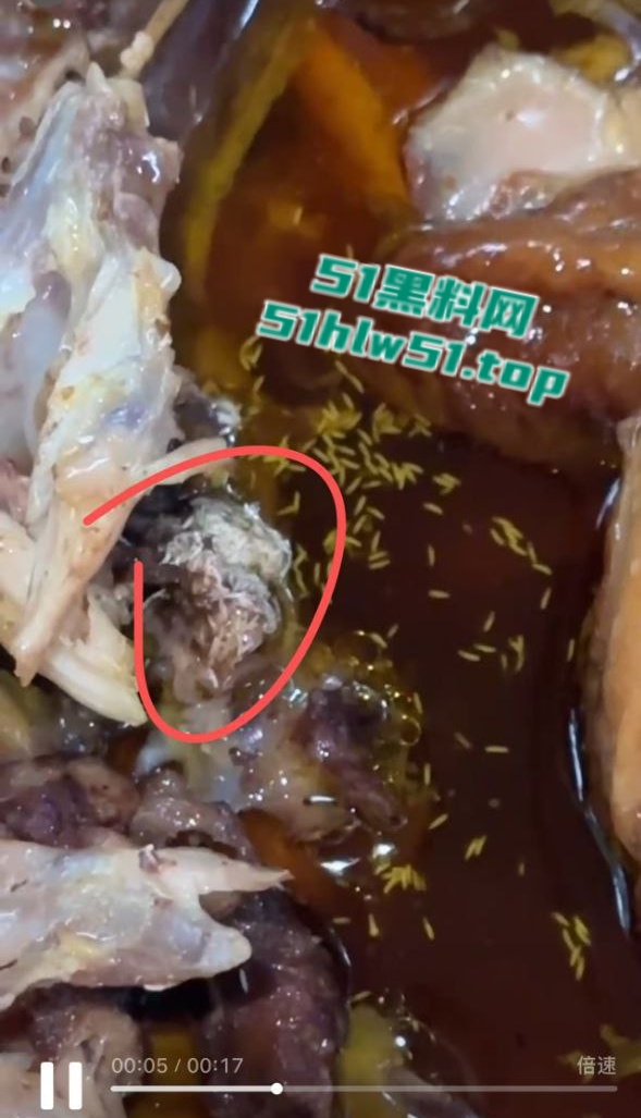鸡骨头上的密集虫卵